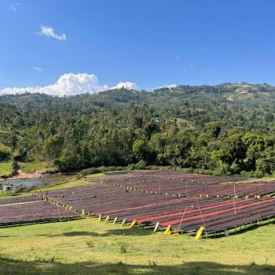 WhatsApp Image 2024-07-18 at 18.41.42_f8402d3d